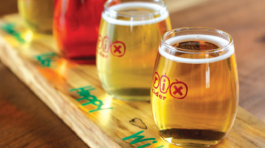 brixcider_1556639689200_38242069_ver1.0_1280_720