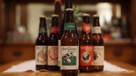 new glarus top long